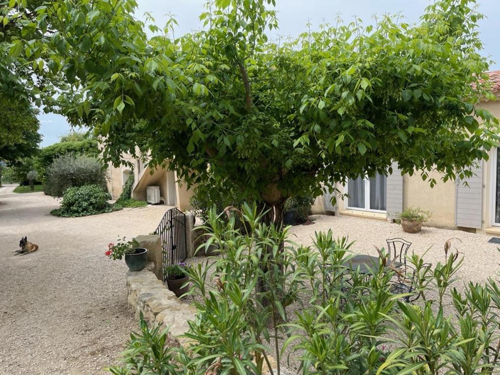 Bastide Provencale Villa Cadenet Exterior photo